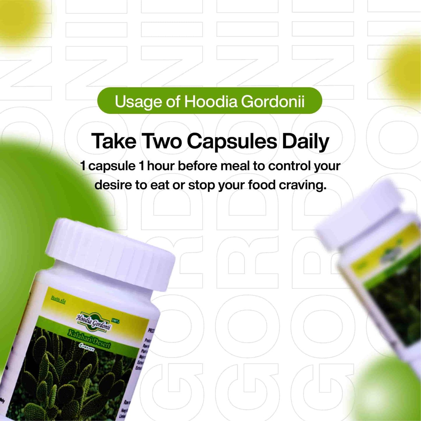 Hoodia Gordonii Capsules for Weight Loss in Dubai
Hoodia Gordonii for Weight Loss
Hoodia Gordonii Kalahari Desert Pills
Hoodia Gordonii Price
Buy Hoodia Gordonii in Dubai
Hoodia Gordonii Capsules
hoodia gordonii kalahari desert حبوب
Natural Supplements for Weight Loss
Kalahari Desert Pills